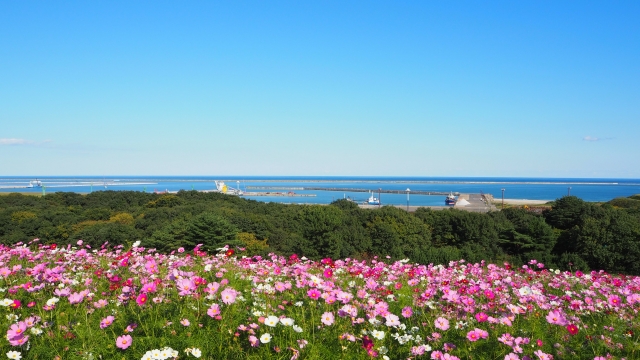 自然豊かな茨城県の景色