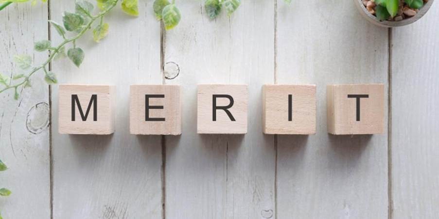 「MERIT」と書かれた木のブロックと観葉植物の装飾