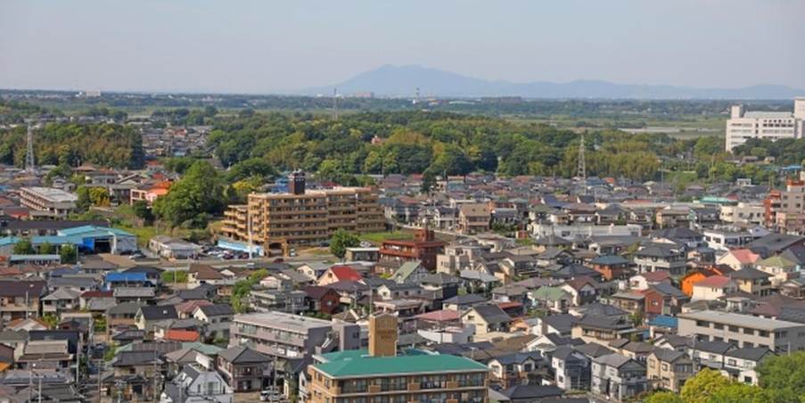 郊外の住宅地の空撮写真、遠くに山が見える風景